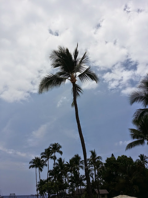 Yoga and other bendable subjects from Hawaii’s Big Island