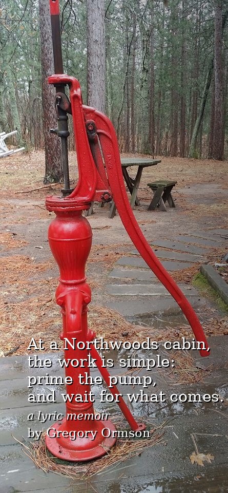 Stories Emerge Like Bears A Book Announcement