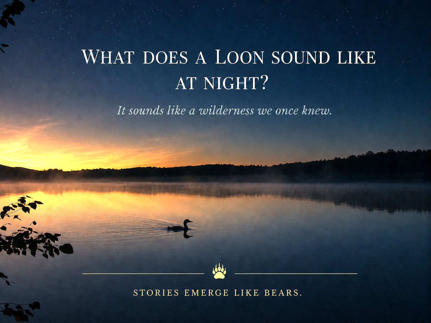 What Does a Loon Sound Like at Night?