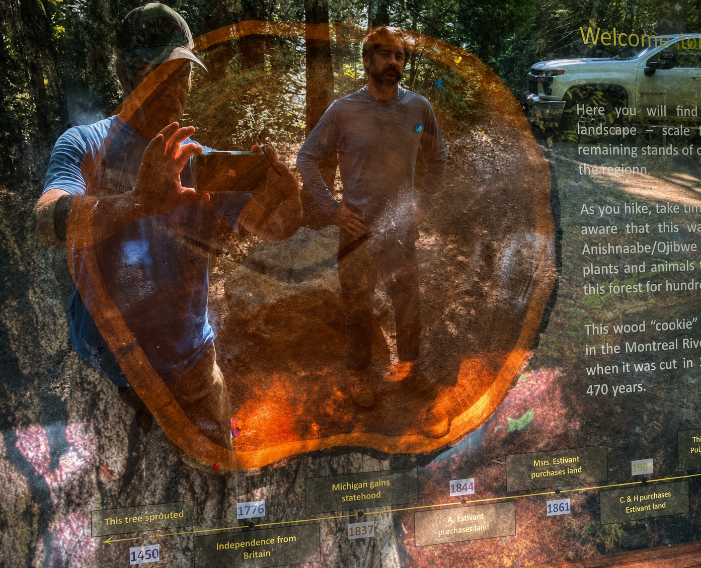 At the Estivant Pines trailhead kiosk, father and son look at a tree-ring cross section, called a "cookie," of an old white pine. Thumb tacks and strings mark years back to around 1450, when that tree first emerged as a seedling.